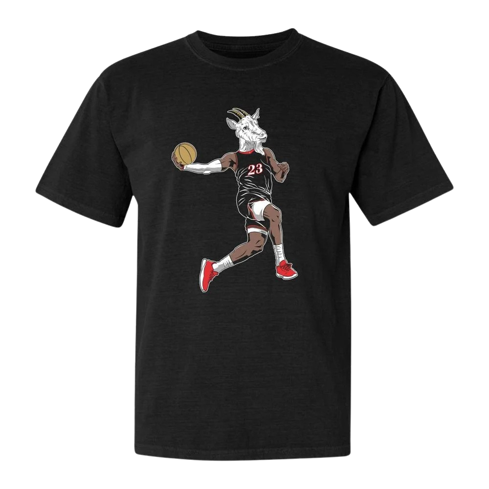 Lebron James 23 Goat Philly Shirt