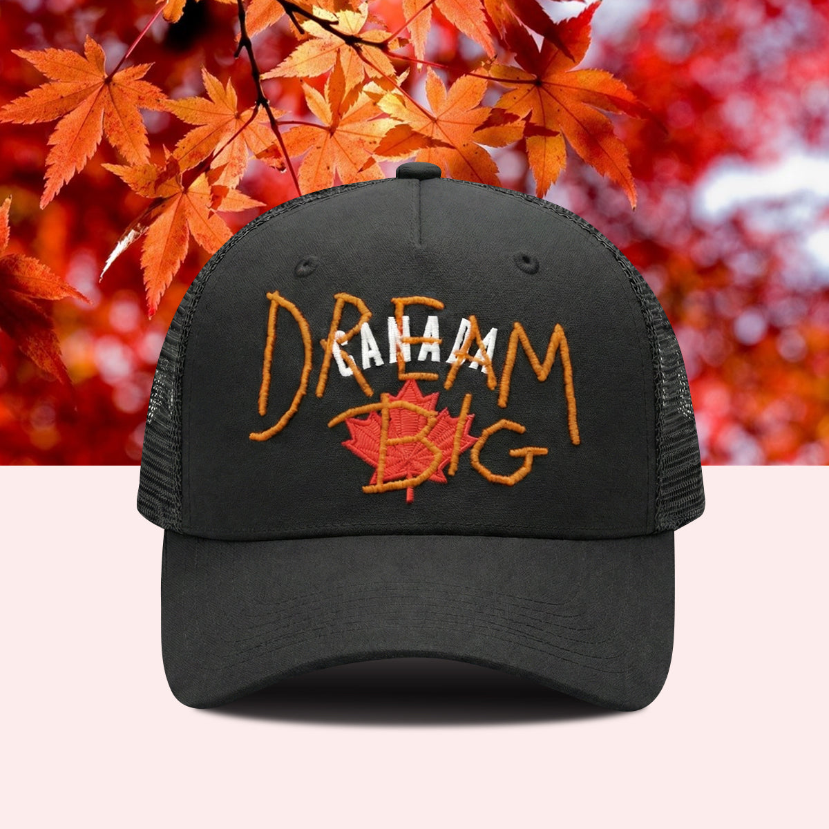 Timothee Chalamet Dream Big Hat