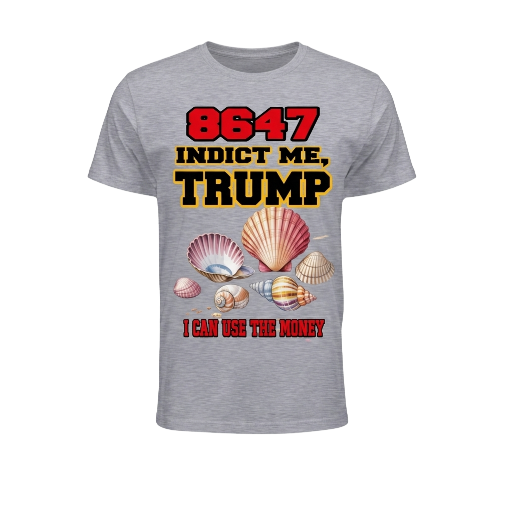 8647 Indict Me Trump I Can Use The Money Shirt