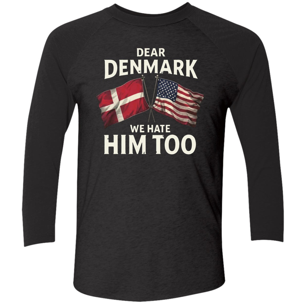 Dear Denmark We Hate Him To Shirt