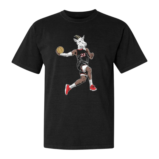 Lebron James 23 Goat Philly Shirt