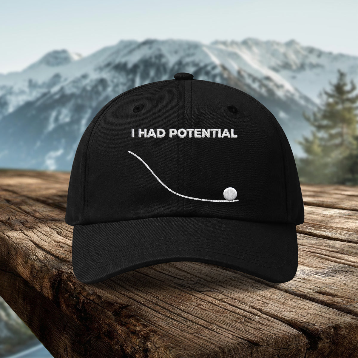 I Had Potential Project Hail Mary Hat
