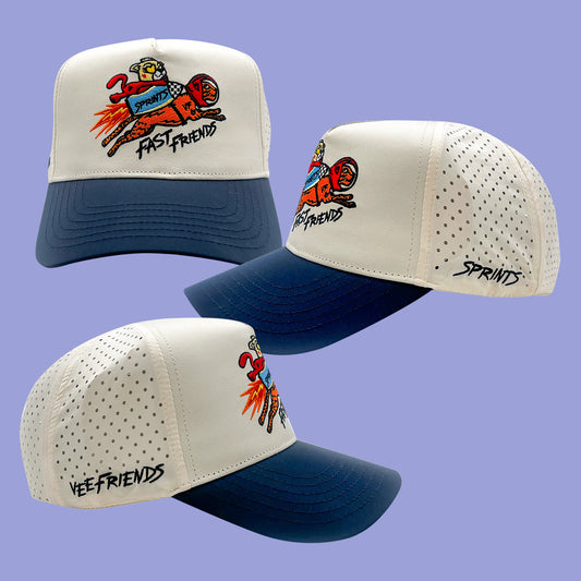 Sprints Fast Friends Veefriends Hat