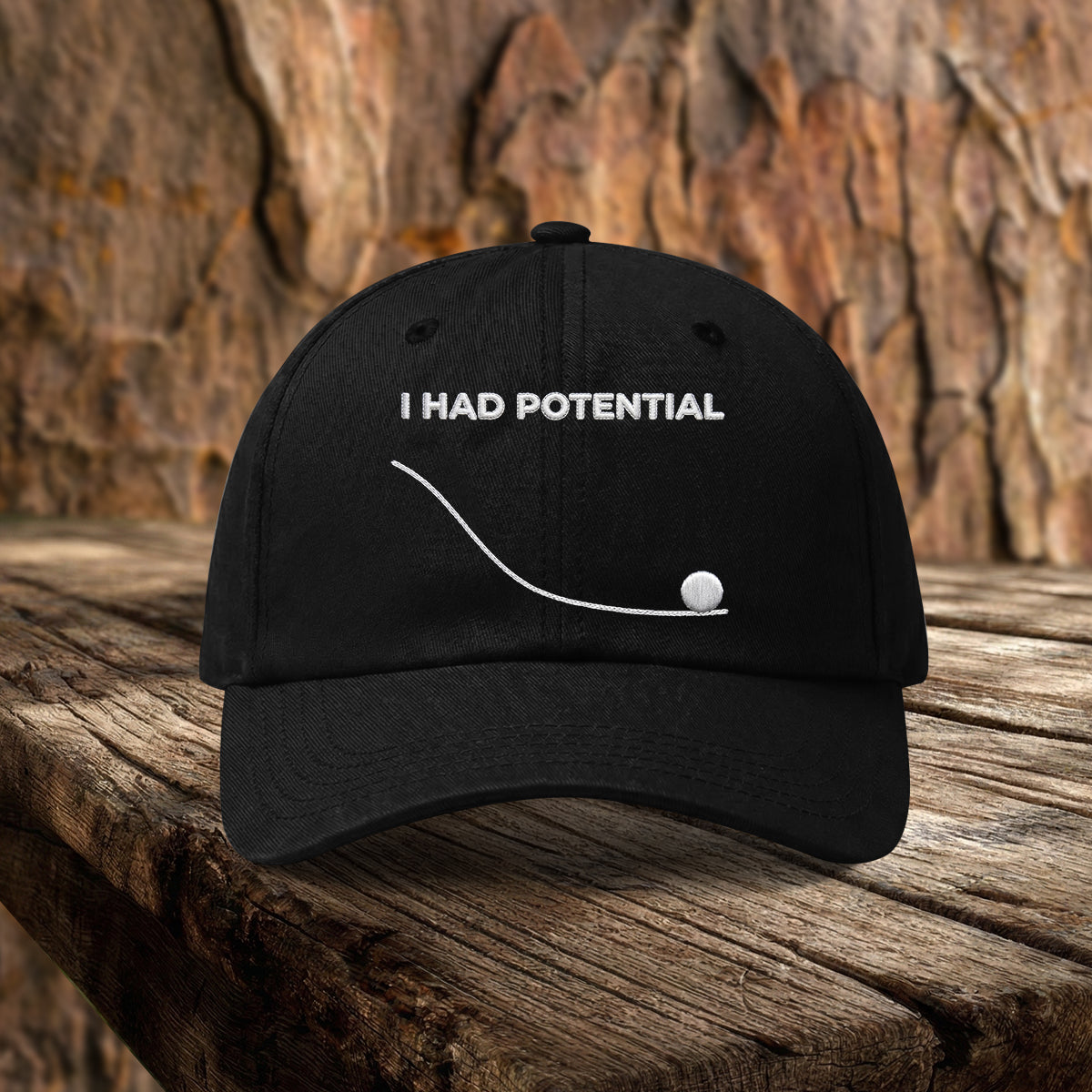 I Had Potential Project Hail Mary Hat