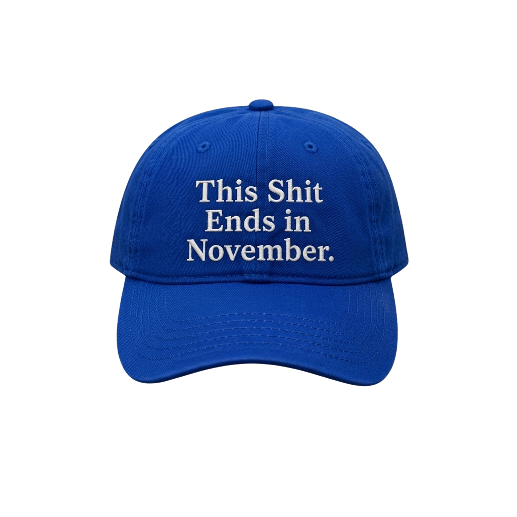 This Sh*t Ends In November Hat