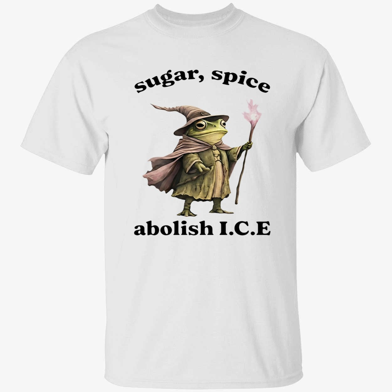 Wizard Frog Sugar Spice Abolish ICE 2026 Shirt