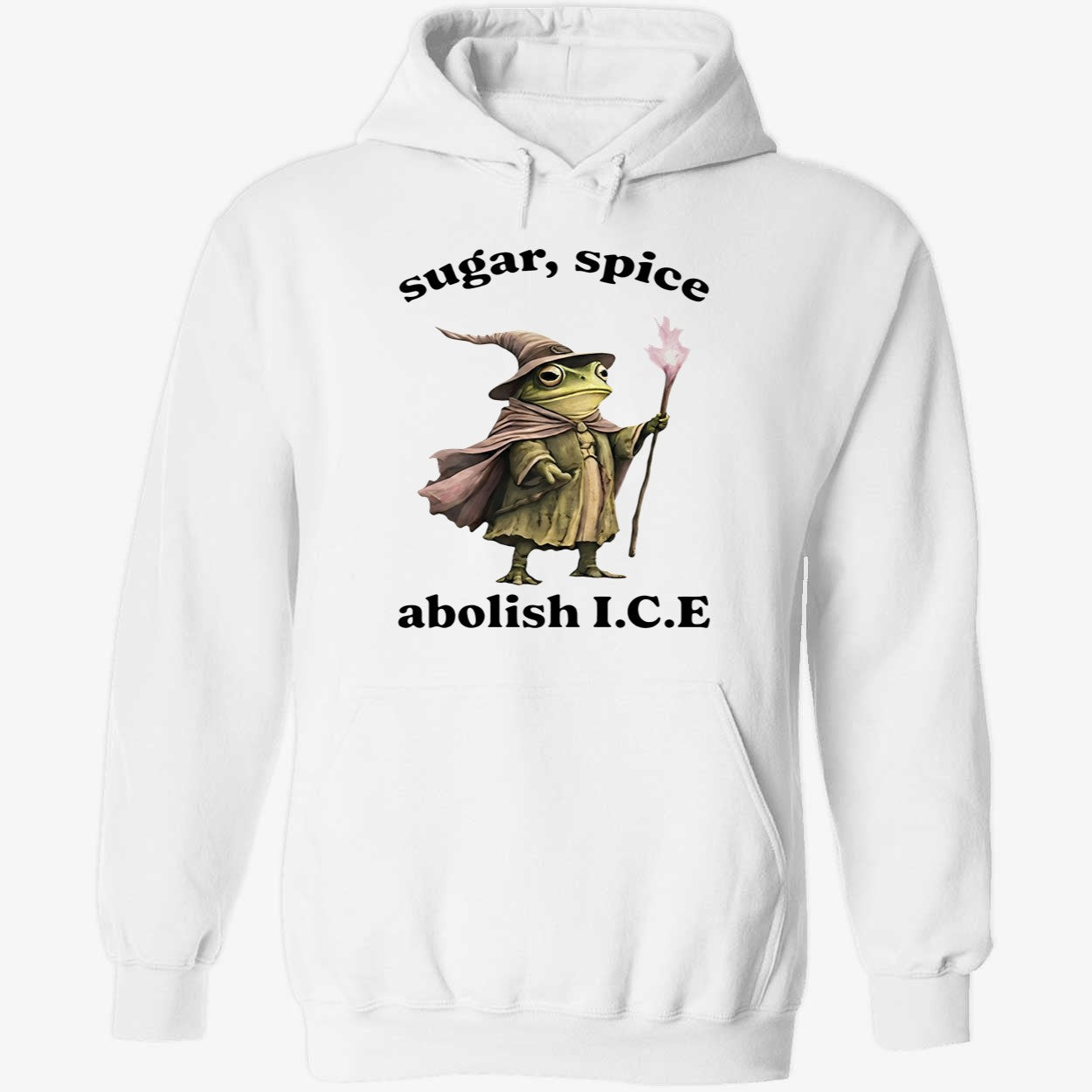 Wizard Frog Sugar Spice Abolish ICE 2026 Shirt