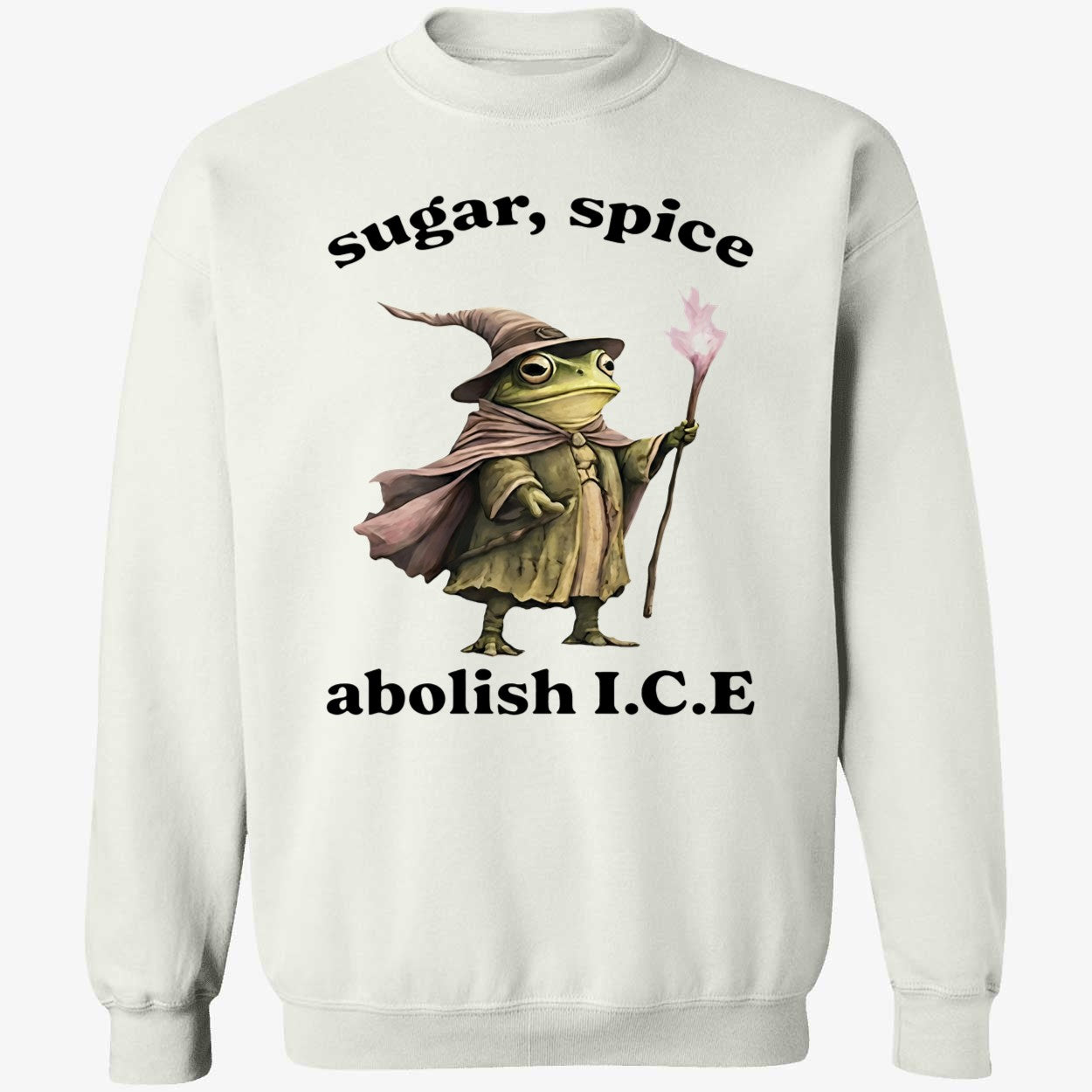 Wizard Frog Sugar Spice Abolish ICE 2026 Shirt
