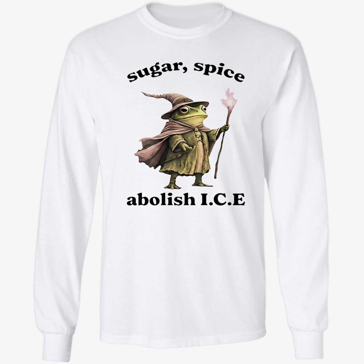 Wizard Frog Sugar Spice Abolish ICE 2026 Shirt