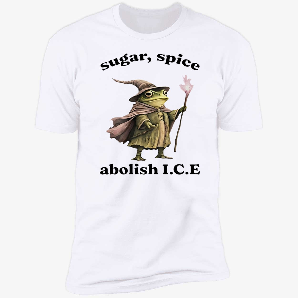 Wizard Frog Sugar Spice Abolish ICE 2026 Shirt