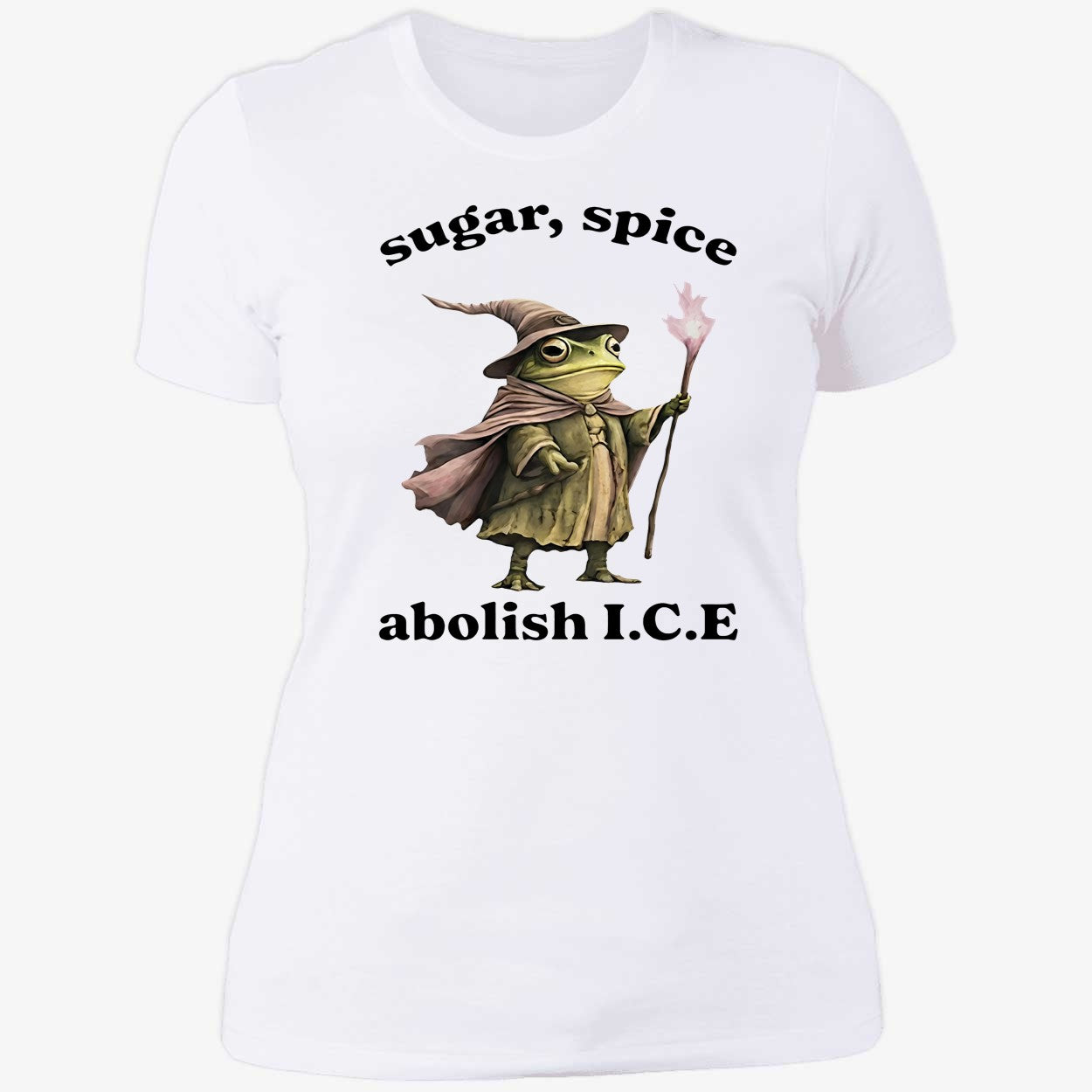 Wizard Frog Sugar Spice Abolish ICE 2026 Shirt