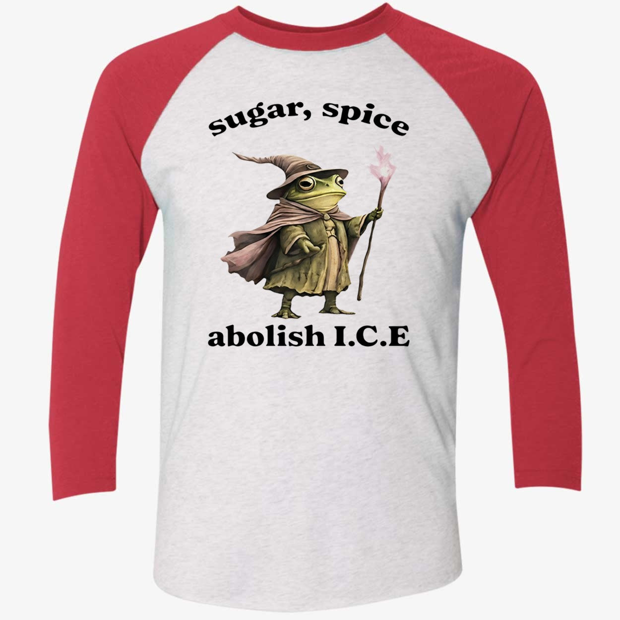 Wizard Frog Sugar Spice Abolish ICE 2026 Shirt