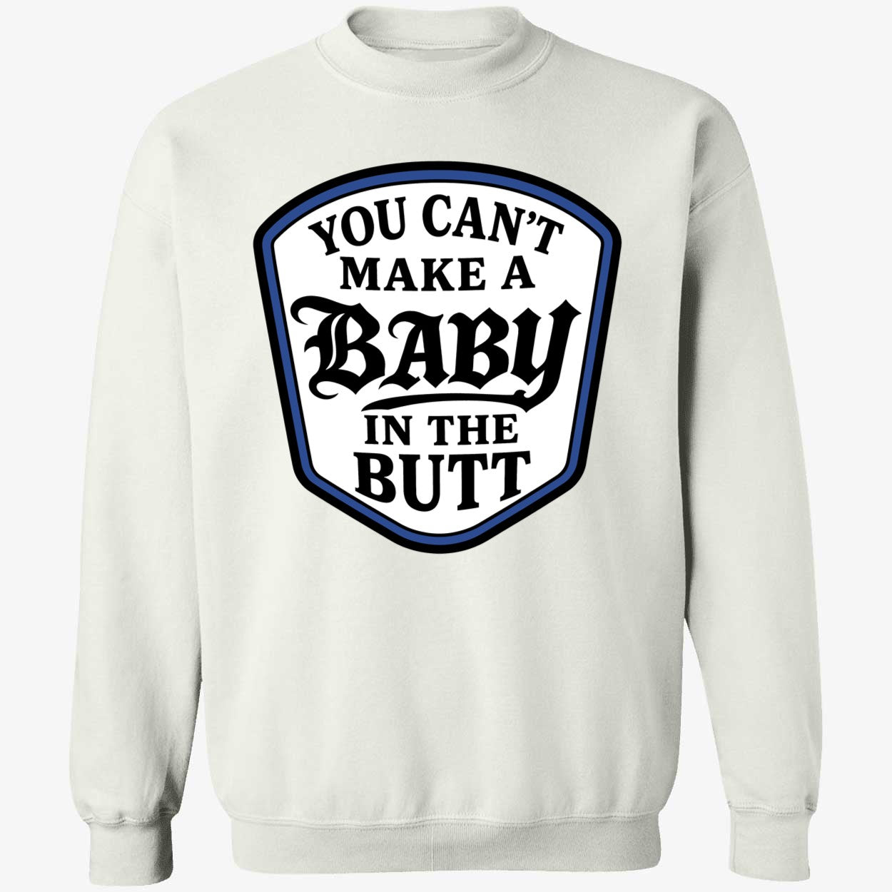 You Can't Make A Baby In The Butt Hoodie